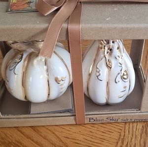 Blue Sky Salt and Pepper Shaker